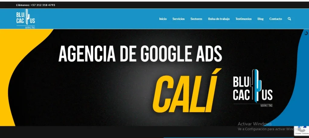 Top 5 Publicidad en Google Ads Cali Agencia BluCactus